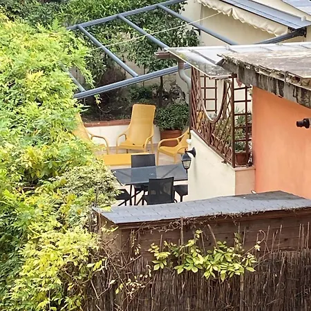 House Near Park And Sea