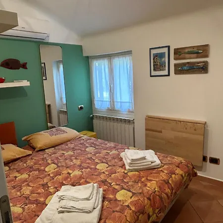 House Near Park And Sea